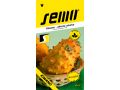 Kiwano