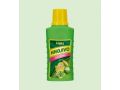 Kapka na citrusy