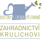 Primary Raster logo