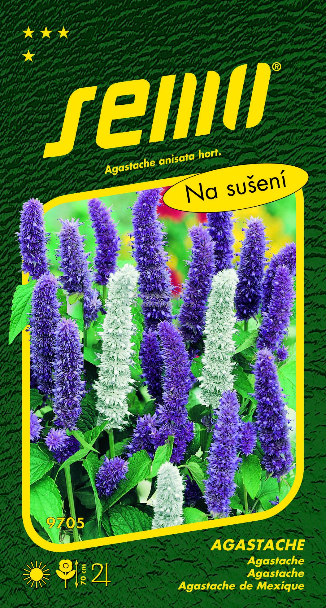 Agastache "Mix" Zahradnictví Krulichovi - zahradnictví, květinářství ...