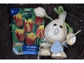 Tulipa 